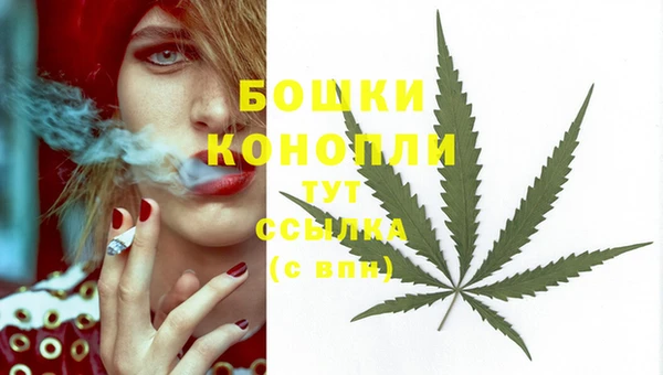 дживик Волоколамск