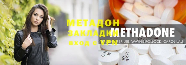 молекула духа Вяземский