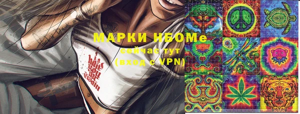 молекула духа Вяземский