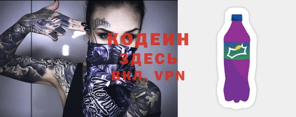 молекула духа Вяземский