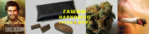 молекула духа Вяземский