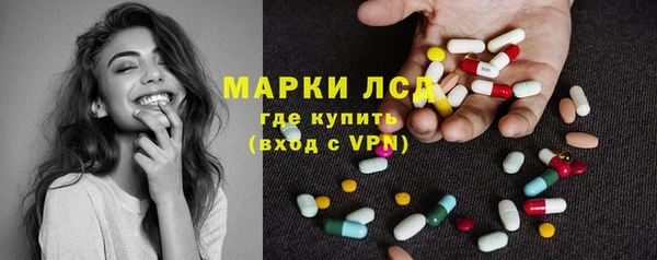 молекула духа Вяземский