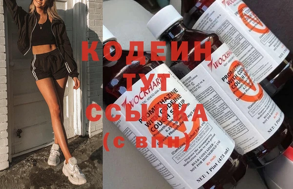 молекула духа Вяземский