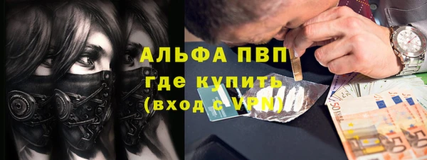 молекула духа Вяземский